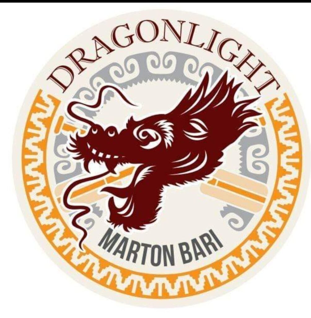 logo dragonlight